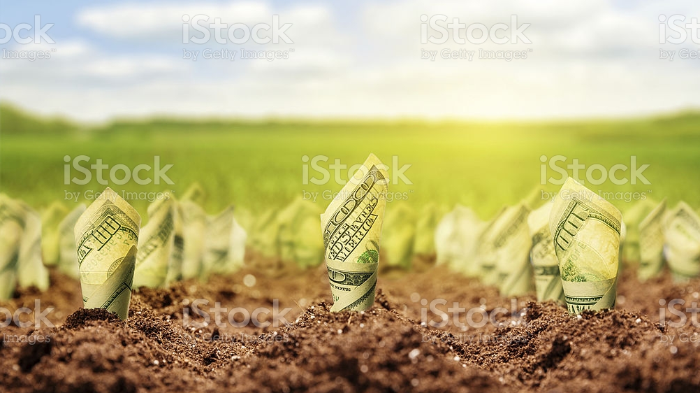 Investasi tanah